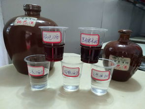 米酒白酒果酒梅子酒檸檬酒黃皮酒葡萄酒百香果酒捻子酒散裝瓶裝廠家直銷誠招代理批發(fā)