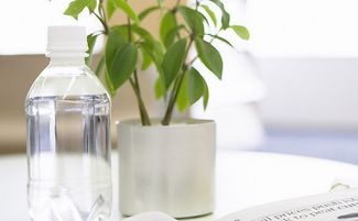 上班族必知的幾種職場風水